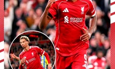 九游娱乐网站入口-利物浦队逆转南安普顿，获得宝贵胜利