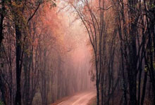 比利时客场击败瑞士，小组出线前景一片光明，比利时比赛战绩