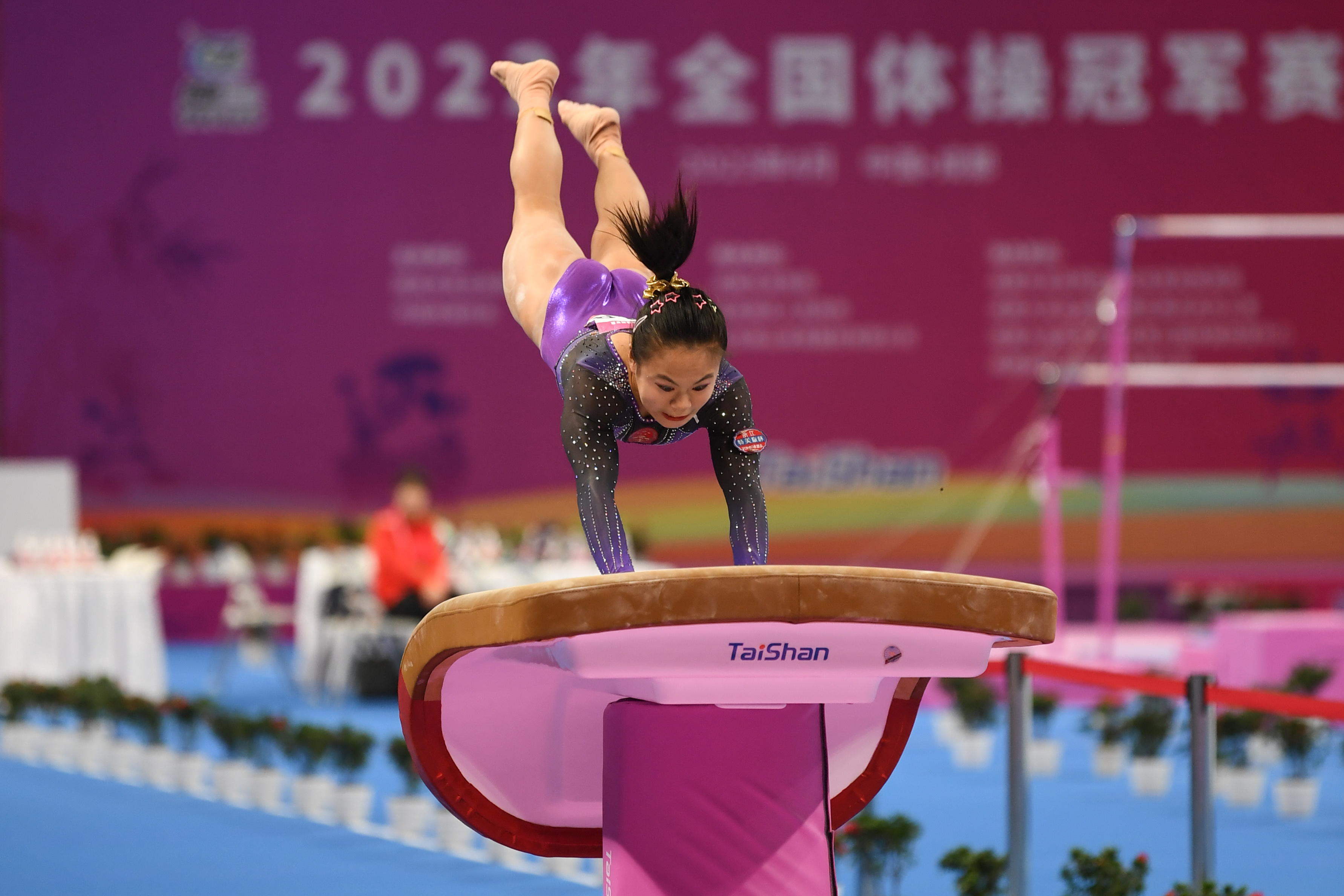 体操女子跳马：美国选手夺冠