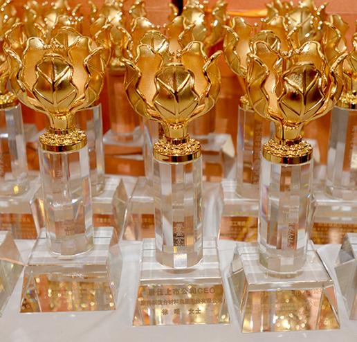 关于捷克代表团喜获殊荣，喜获奖杯的信息